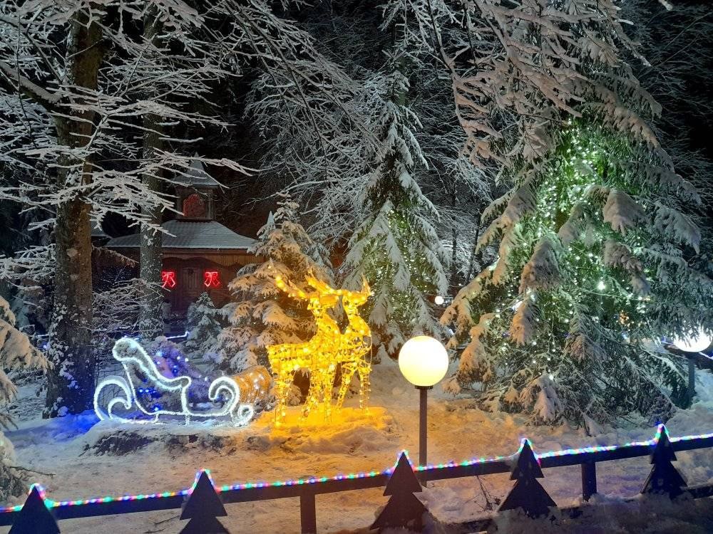 Поместье Деда Мороза в Беловежской пуще.